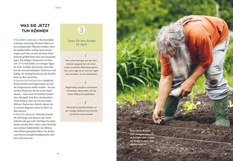 Produktbild: Mein Gartenkalender 2026