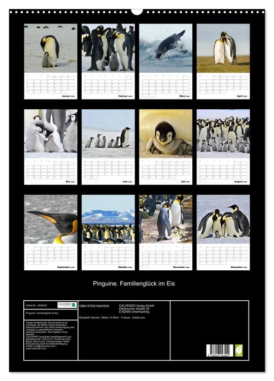 Produktbild: Pinguine. Familiengl&uuml;ck im Eis (Wandkalender 2026 DIN A2 hoch), CALVENDO Monatskalender