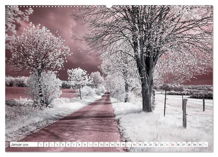 Produktbild: Zauberhafte Infrarot-Fotografie (hochwertiger Premium Wandkalender 2026 DIN A2 quer), Kunstdruck in Hochglanz