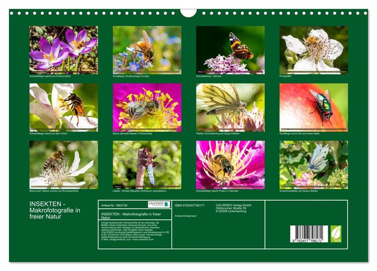 Produktbild: INSEKTEN - Makrofotografie in freier Natur (Wandkalender 2026 DIN A3 quer), CALVENDO Monatskalender