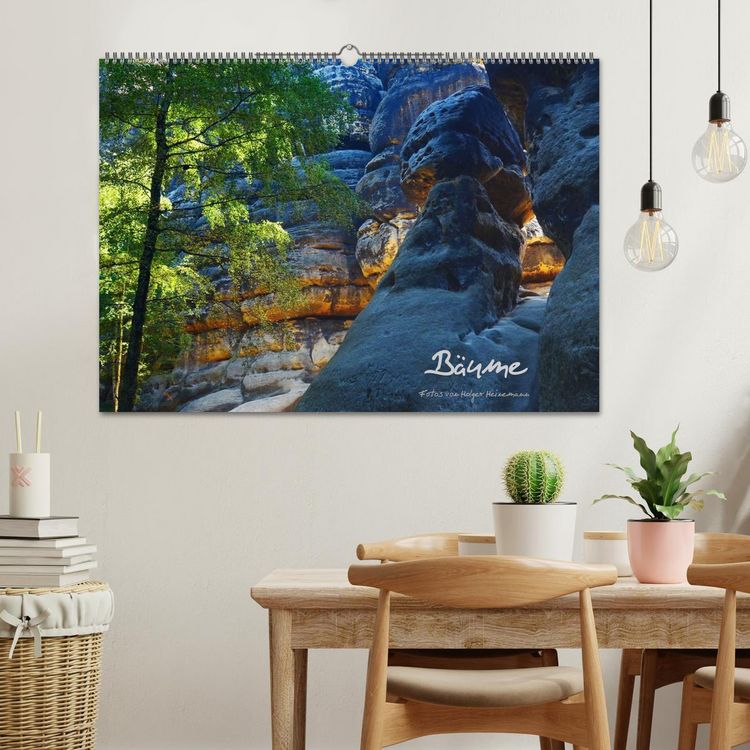 Produktbild: B&auml;ume (Wandkalender 2026 DIN A2 quer), CALVENDO Monatskalender