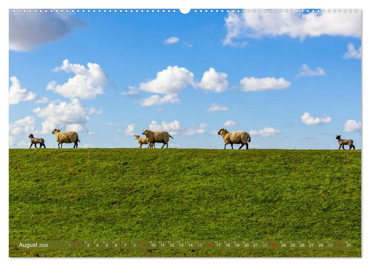 Produktbild: Moin Moormerland (Wandkalender 2026 DIN A2 quer), CALVENDO Monatskalender