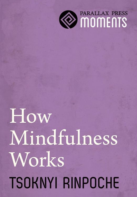 Produktbild: How Mindfulness Works