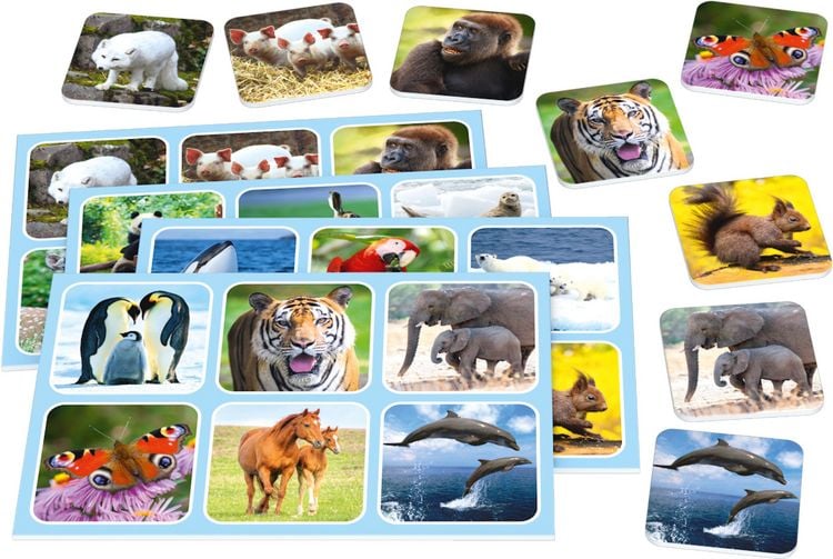 Produktbild: Zoo Lotto (Kinderspiel)