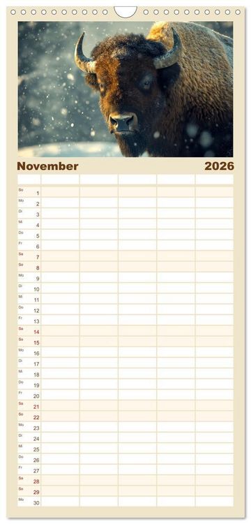 Produktbild: Familienplaner 2026 - B&uuml;ffel - Ikonen der Wildnis mit 5 Spalten (Wandkalender, 21 x 45 cm) CALVENDO
