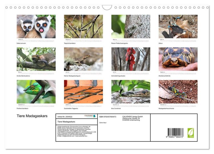 Produktbild: Tiere Madagaskars (Wandkalender 2026 DIN A3 quer), CALVENDO Monatskalender