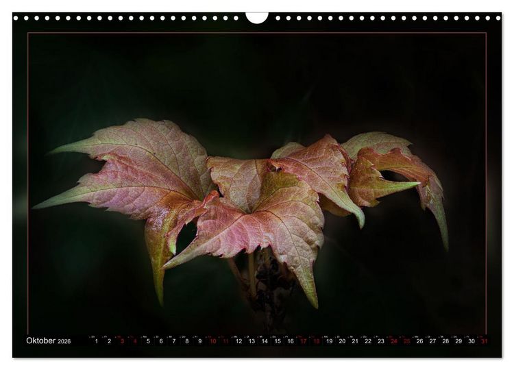 Produktbild: Blattkunstwerke (Wandkalender 2026 DIN A3 quer), CALVENDO Monatskalender