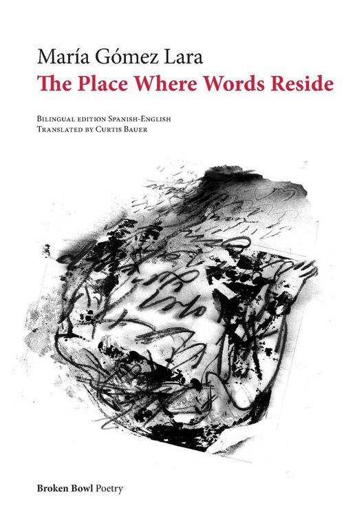 Produktbild: The Place Where Words Reside