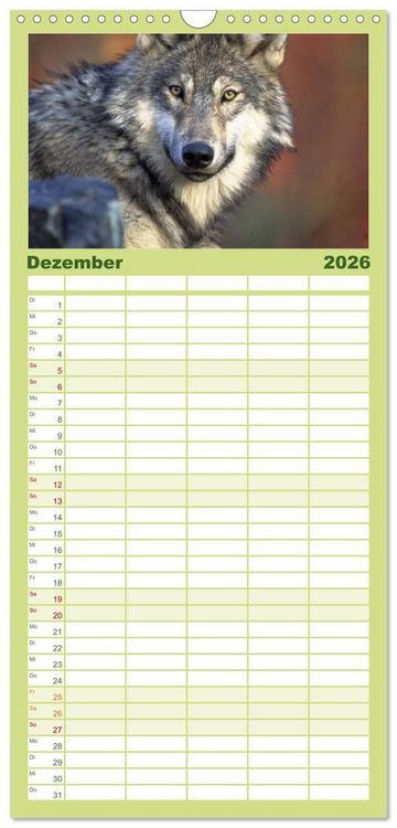Produktbild: Familienplaner 2026 - W&ouml;lfe. Verwegene Anmut mit 5 Spalten (Wandkalender, 21 x 45 cm) CALVENDO