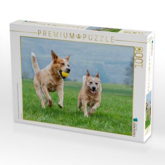 Produktbild: CALVENDO Puzzle Ein Motiv aus dem Kalender Power auf 4 Pfoten. Australian Cattle Dog | 1000 Teile Lege-Gr&ouml;&szlig;e 64x48cm Foto-Puzzle f&uuml;r gl&uuml;ckliche Stunden