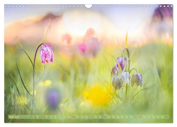 Produktbild: Natursch&ouml;nheiten - mit Bl&uuml;ten und Pflanzen durch das Jahr (Wandkalender 2026 DIN A3 quer), CALVENDO Monatskalender