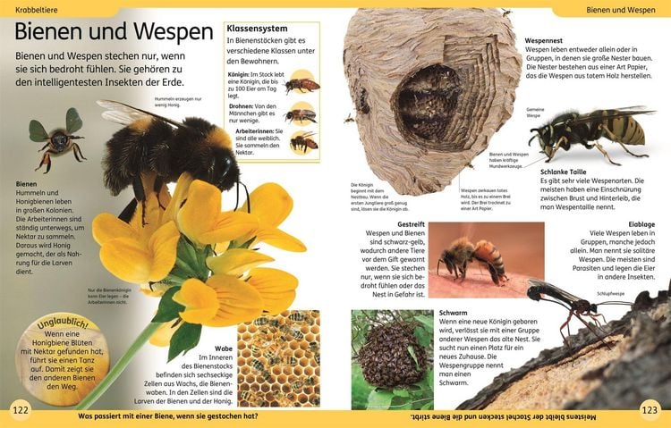 Produktbild: DK Kinderlexikon. Tiere