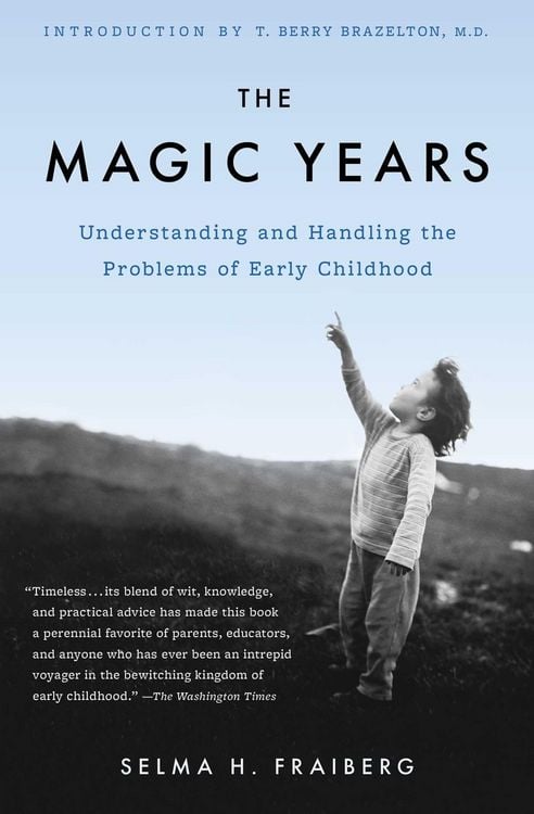 Produktbild: The Magic Years