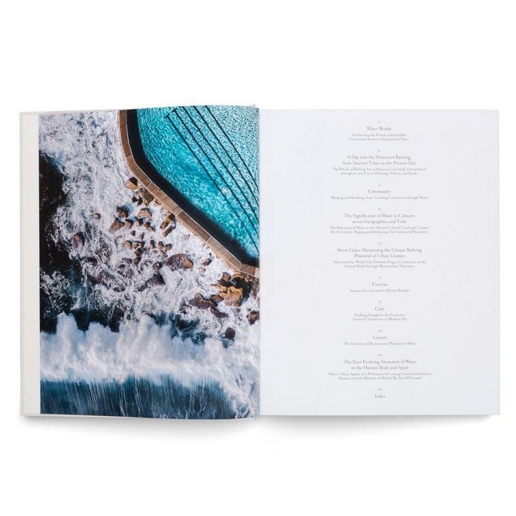 Produktbild: The Nature of Swimming (Updated Edition)