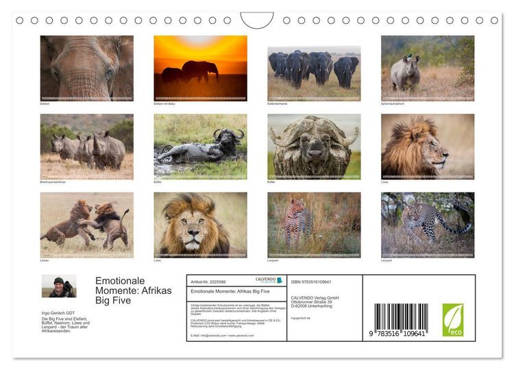 Produktbild: Emotionale Momente: Afrikas Big Five (Wandkalender 2026 DIN A4 quer), CALVENDO Monatskalender