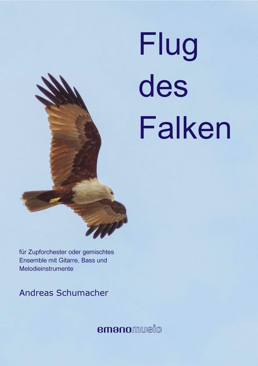 Produktbild: Flug des Falken