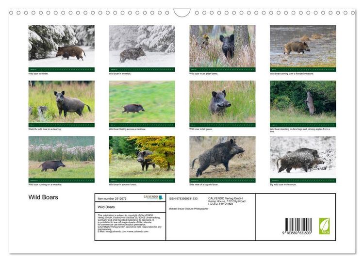 Produktbild: Wild Boars (Wall Calendar 2027 DIN A3 landscape), CALVENDO 12 Month Wall Calendar