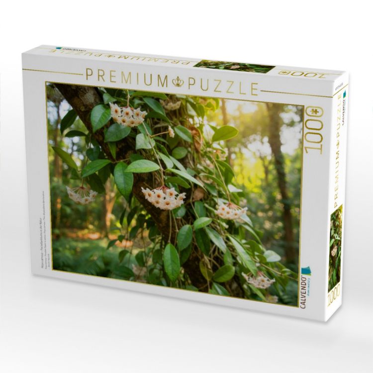 Produktbild: CALVENDO Puzzle Hoya carnosa - Porzellanblume in der Natur | 1000 Teile Lege-Gr&ouml;&szlig;e 64x48cm Foto-Puzzle f&uuml;r gl&uuml;ckliche Stunden