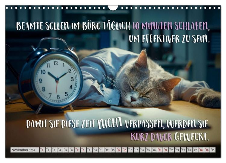 Produktbild: BEH&Ouml;RDE Der allt&auml;gliche Wahnsinn (Wandkalender 2026 DIN A3 quer), CALVENDO Monatskalender