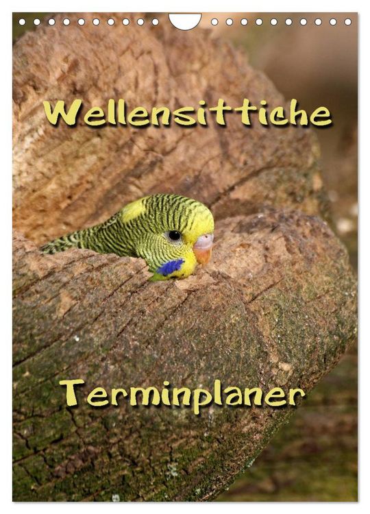 Produktbild: Wellensittiche Terminplaner (Wandkalender 2026 DIN A4 hoch), CALVENDO Monatskalender