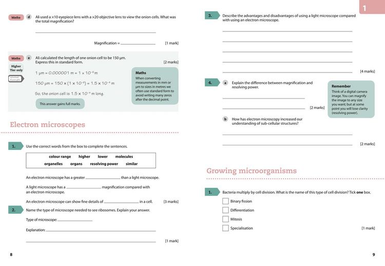 Produktbild: GCSE Science 9-1 - Aqa GCSE (9-1) Biology Grade 6-7 Booster Workbook