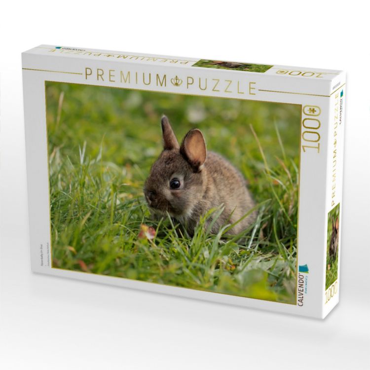 Produktbild: CALVENDO Puzzle Hasenbaby im Gras | 1000 Teile Lege-Gr&ouml;&szlig;e 64x48cm Foto-Puzzle f&uuml;r gl&uuml;ckliche Stunden
