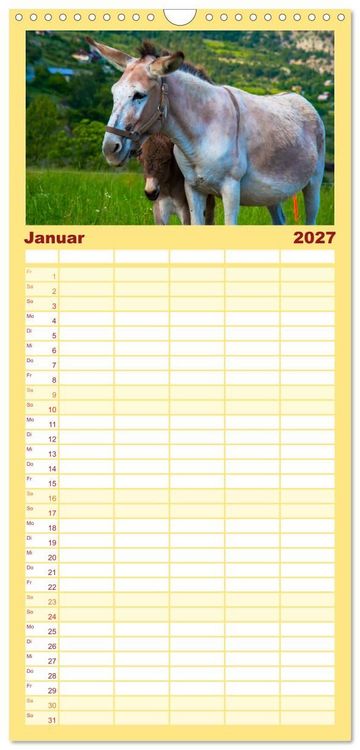 Produktbild: Familienplaner 2027 - Liebenswerte Esel mit 5 Spalten (Wandkalender, 21 x 45 cm) CALVENDO
