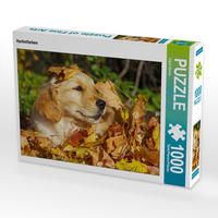 Produktbild: CALVENDO Puzzle Herbstfarben | 1000 Teile Lege-Gr&ouml;&szlig;e 64x48cm Foto-Puzzle f&uuml;r gl&uuml;ckliche Stunden