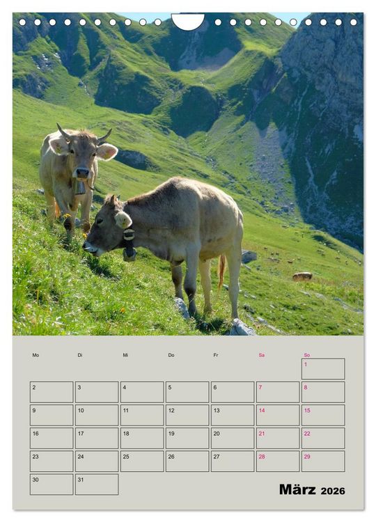 Produktbild: Kuhportraits Hornk&uuml;he (Wandkalender 2026 DIN A4 hoch), CALVENDO Monatskalender