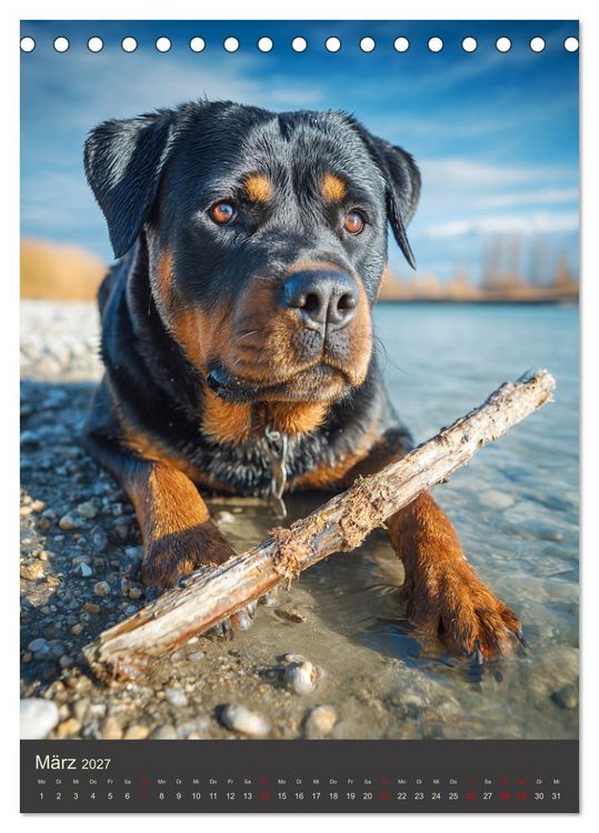 Produktbild: Rottweiler. Kraft, Herz und Treue (Tischkalender 2027 DIN A5 hoch), CALVENDO Monatskalender