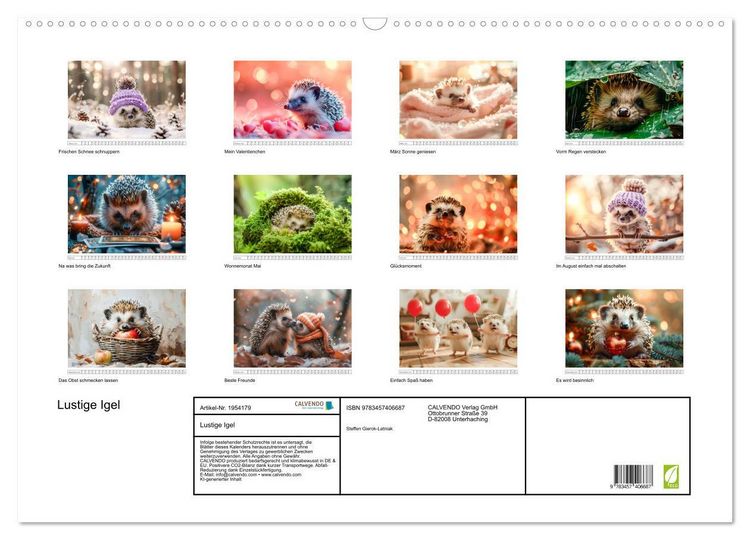 Produktbild: Lustige Igel (Wandkalender 2026 DIN A2 quer), CALVENDO Monatskalender