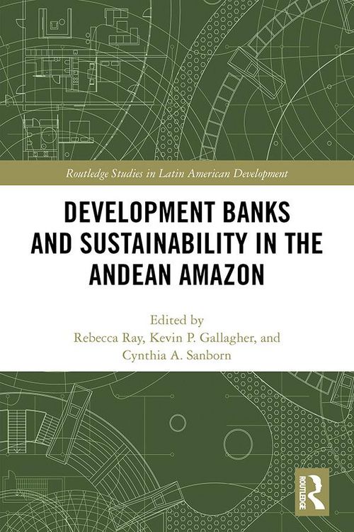 Produktbild: Development Banks and Sustainability in the Andean Amazon