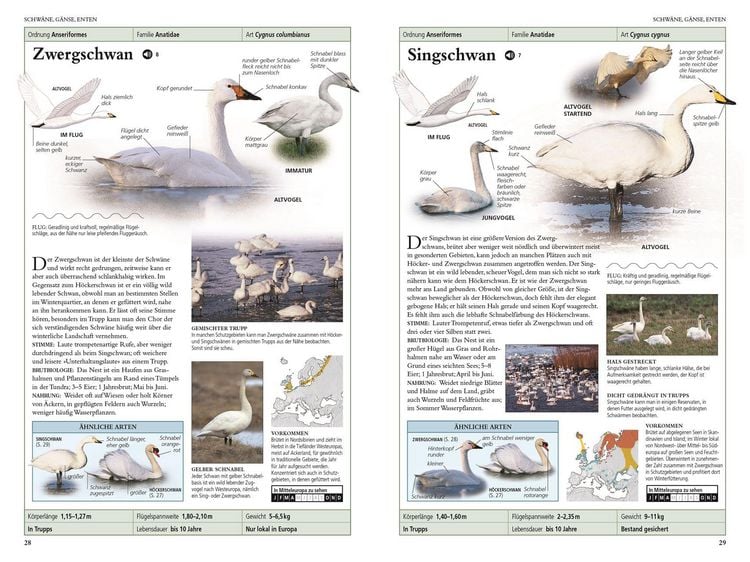Produktbild: V&ouml;gel in Europa