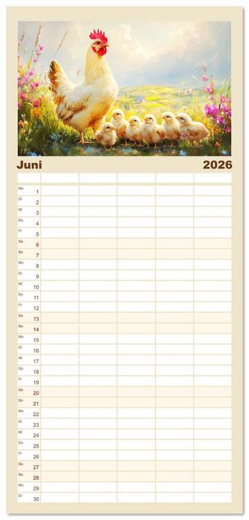 Produktbild: Familienplaner 2026 - Im Glanz der Federn. Sch&ouml;ne H&uuml;hner in malerischer Harmonie mit 5 Spalten (Wandkalender, 21 x 45 cm) CALVENDO