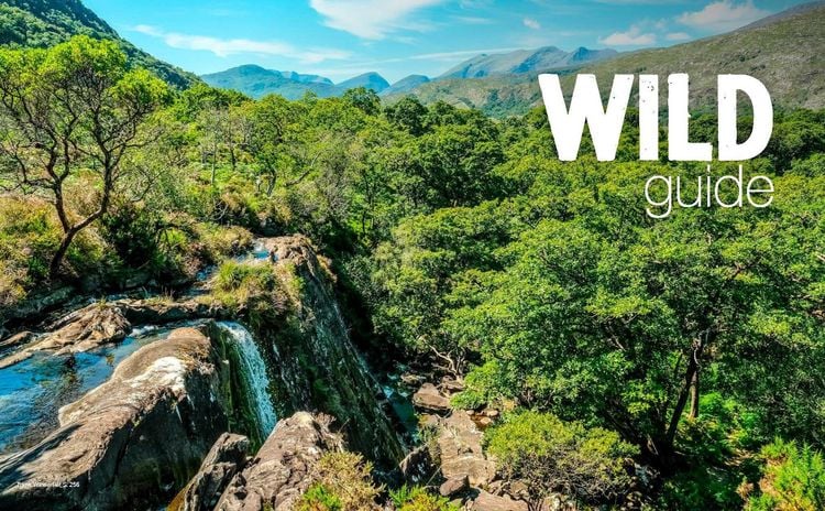 Produktbild: Wild Guide Irland - Der Westen