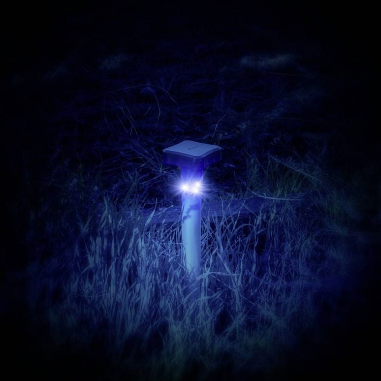 Produktbild: Gardigo Wildvertreiber Funktionsart Blitzlicht, LED-Licht Wirkungsbereich 1200m&sup2; 1St.