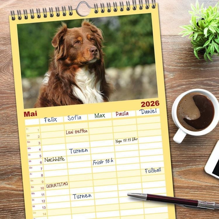 Produktbild: Familienplaner 2026 - Bekannt wie ein bunter Hund. Australian Shepherd mit 5 Spalten (Wandkalender, 21 x 45 cm) CALVENDO