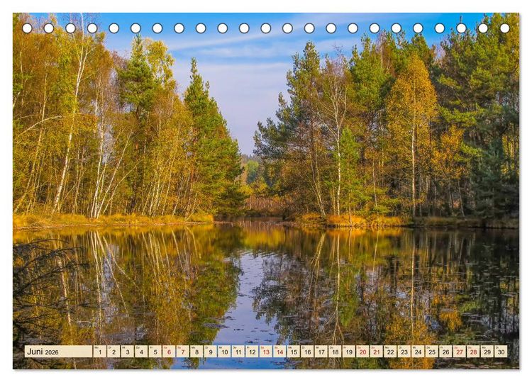 Produktbild: Herbst im Schwenninger Moos (Tischkalender 2026 DIN A5 quer), CALVENDO Monatskalender