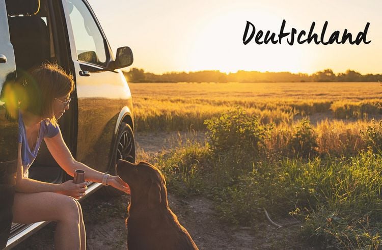 Produktbild: Yes we camp! Camping mit Hund