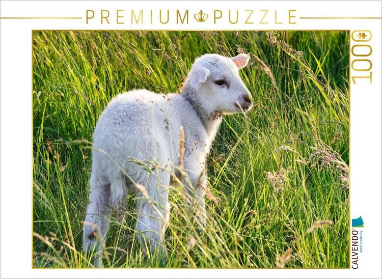Produktbild: CALVENDO Puzzle Niedliches Sch&auml;fchen | 1000 Teile Lege-Gr&ouml;&szlig;e 64x48cm Foto-Puzzle f&uuml;r gl&uuml;ckliche Stunden