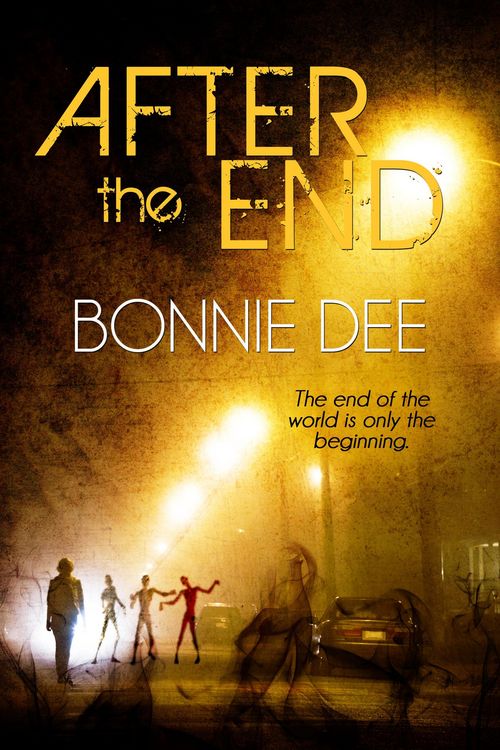 Produktbild: After the End