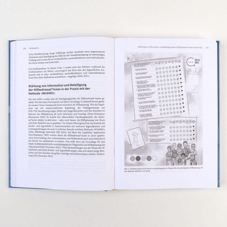 Produktbild: Handbuch Traumap&auml;dagogik