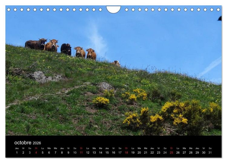 Produktbild: Ard&egrave;che - Randonn&eacute;e & Kayak (Calendrier mural 2026 DIN A4 vertical), CALVENDO calendrier mensuel