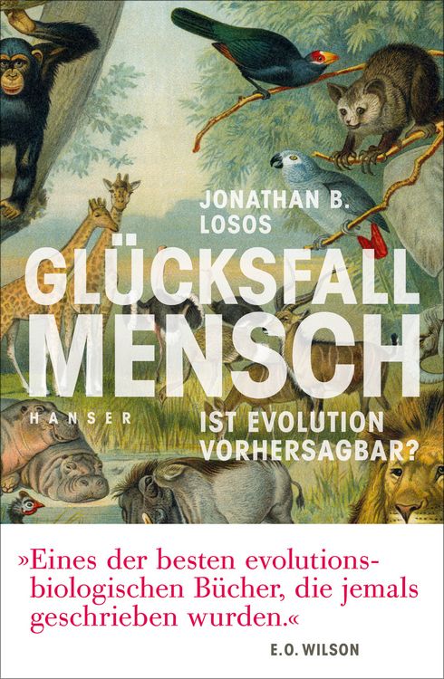 Produktbild: Gl&uuml;cksfall Mensch