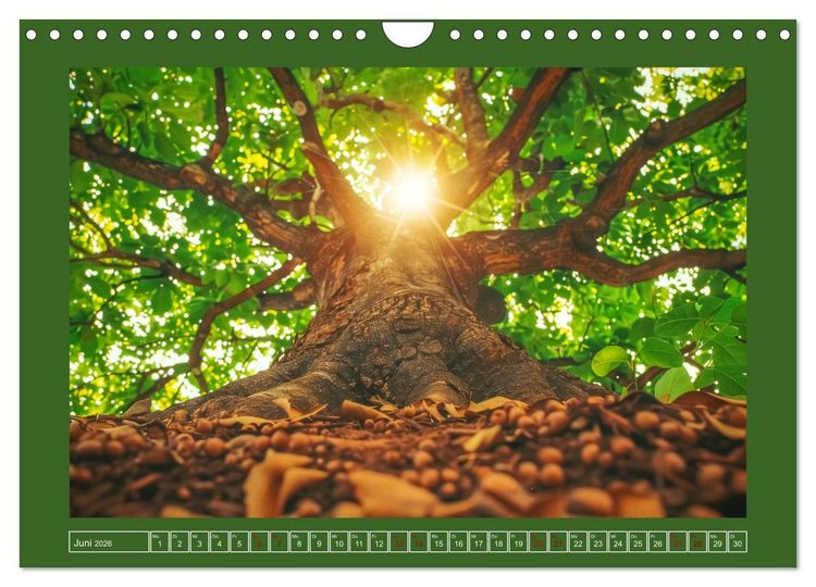 Produktbild: Die Zeitreisenden des Waldes (Wandkalender 2026 DIN A4 quer), CALVENDO Monatskalender