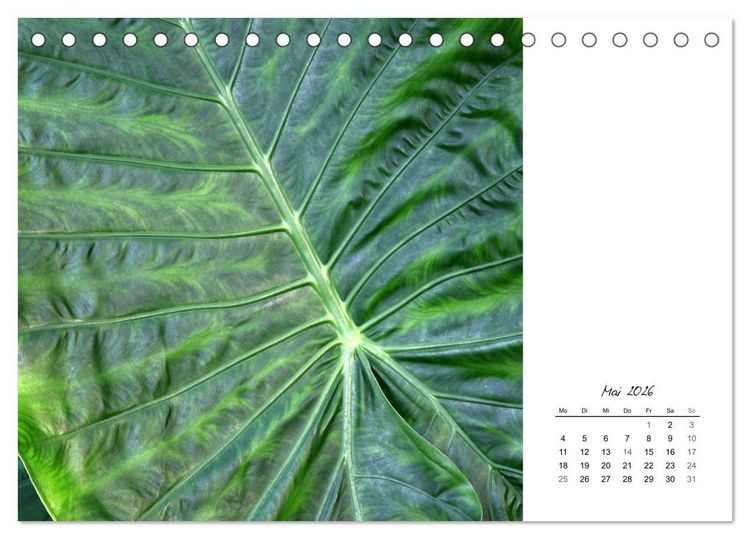Produktbild: Blattkunst (Tischkalender 2026 DIN A5 quer), CALVENDO Monatskalender