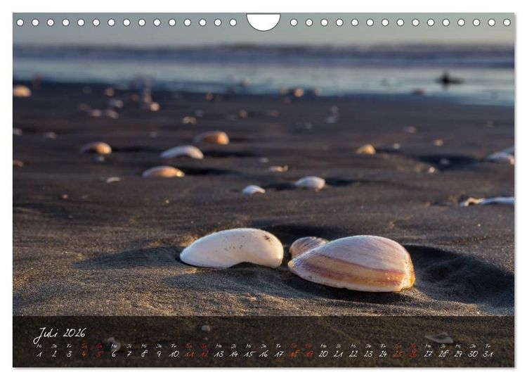 Produktbild: Neuseeland - Land der Maori (Wandkalender 2026 DIN A4 quer), CALVENDO Monatskalender