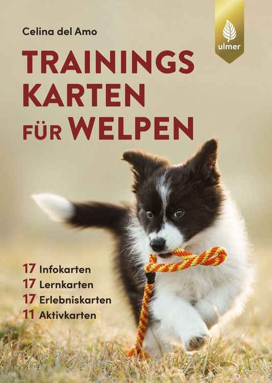 Produktbild: Trainingskarten f&uuml;r Welpen