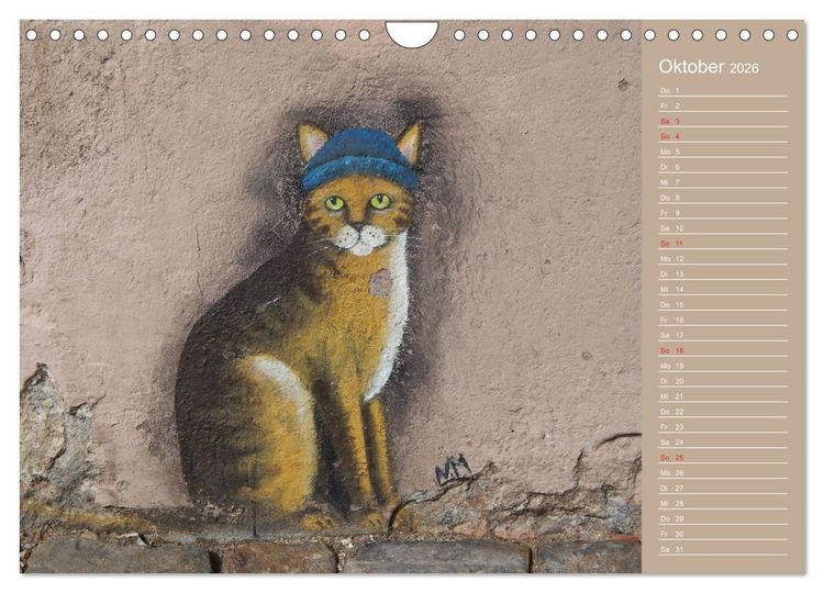 Produktbild: Flensburger Katzen (Wandkalender 2026 DIN A4 quer), CALVENDO Monatskalender