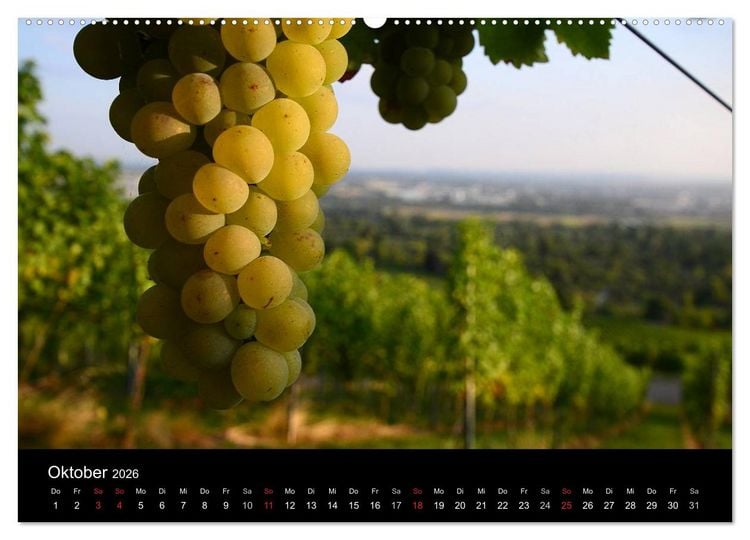 Produktbild: W.EINBLICK (hochwertiger Premium Wandkalender 2026 DIN A2 quer), Kunstdruck in Hochglanz